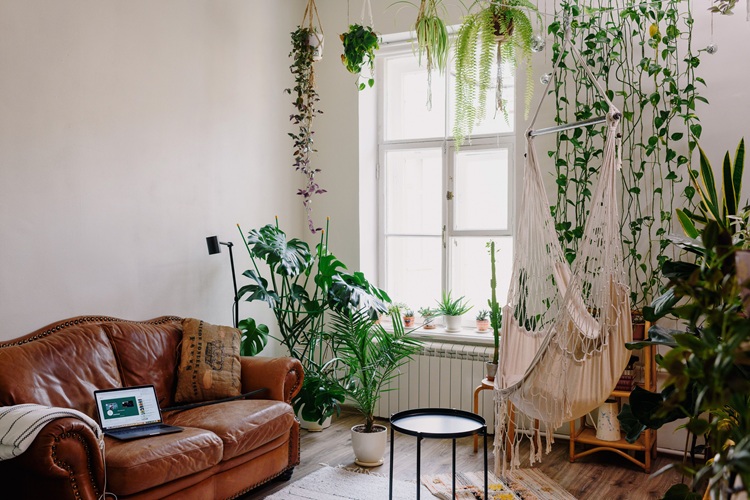 Interior biopholic, Sumber: pexels.com