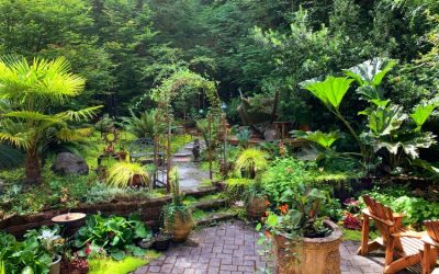 Informasi Ahli Taman Jogja Untuk Mempercantik Rumah Anda