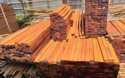 Jenis Kayu Terbaik untuk Struktur Bangunan