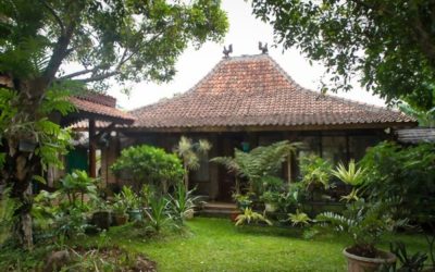 Karakteristik Rumah Jawa Klasik Dan Inspirasi Desain Rumah Klasik Jawa Yang Eye Catching
